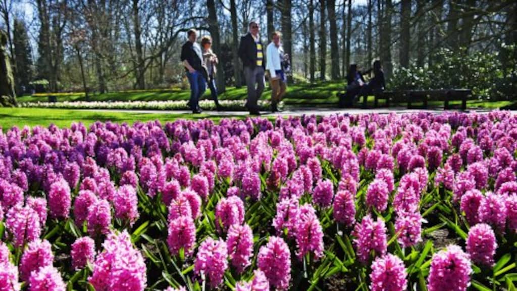 Inwoners bollenstreek hebben sporen bestrijdingsmiddelen in urine