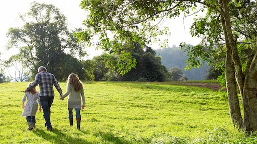 'Massale toestroom stedelingen naar platteland is een illusie'