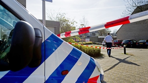 Politie gaat elektrische auto's testen