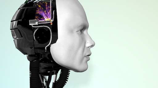 Chinees restaurant neemt robots in dienst