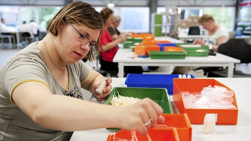 Te complex en nauwelijks effectief: de Participatiewet faalt