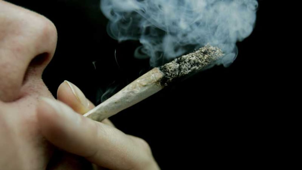 Aantal doden door drugs daalt, meer mensen gebruiken elke dag wiet