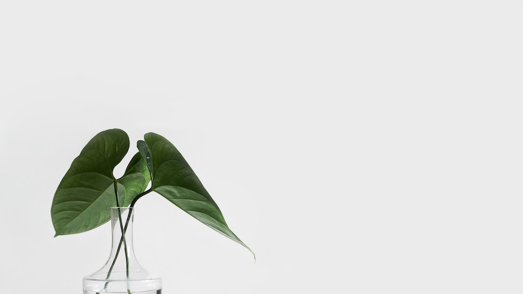 Moeite met opruimen? Wellicht is de KonMari methode dan iets voor jou!