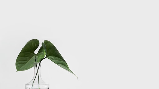 Moeite met opruimen? Wellicht is de KonMari methode dan iets voor jou!