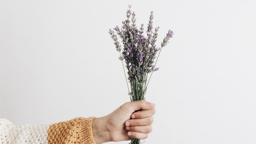 Do's and don'ts bij het verzorgen van lavendel binnenshuis