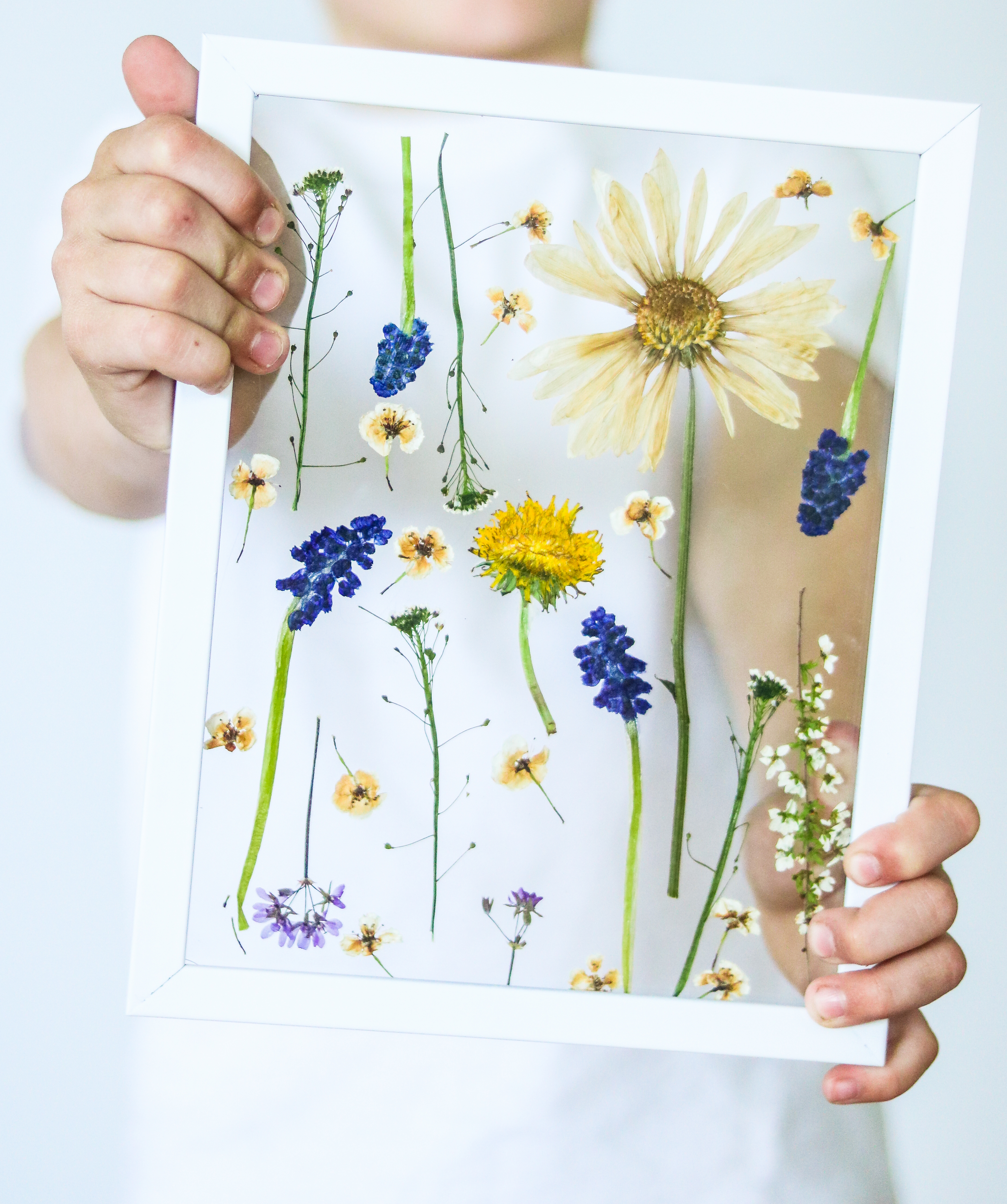 Ingelijste droogbloemen met viooltjes! - 100% Woongeluk