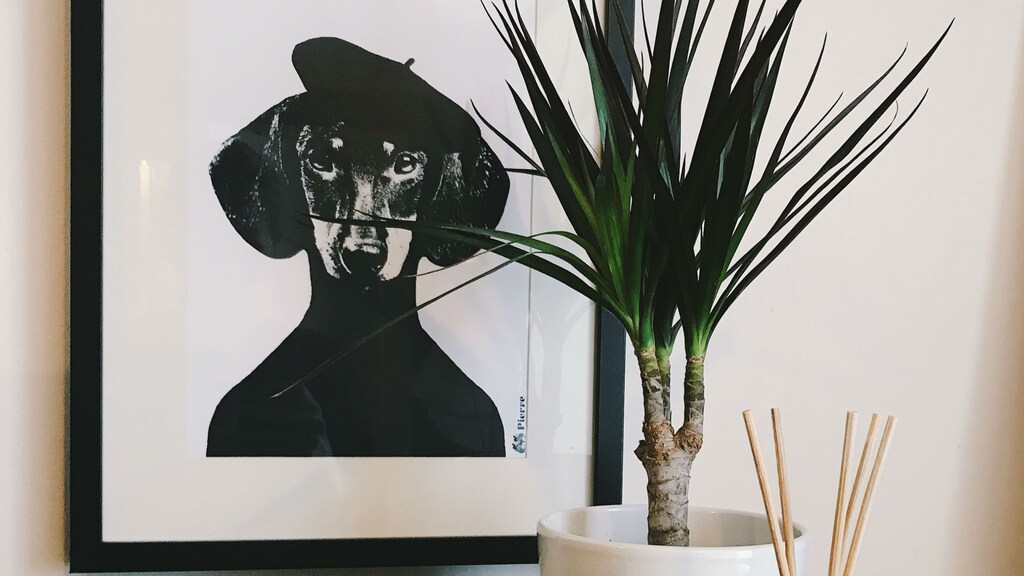 Deze heerlijke prints mogen niet ontbreken in het interieur van een teckel-lover