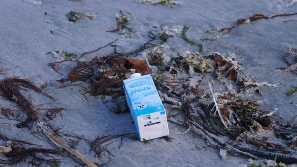 In welke afvalbak hoort het melkpak? We leggen de grootste twijfelgevallen uit