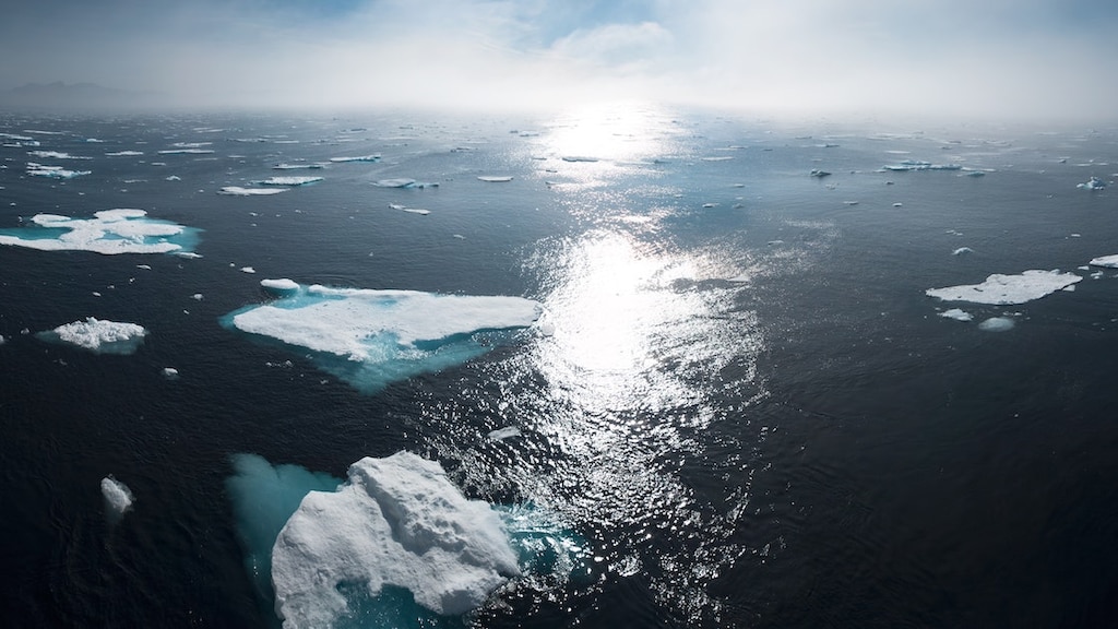 Klimaatsuccesje op EU-top: 'Europa is leider in strijd tegen klimaatverandering'