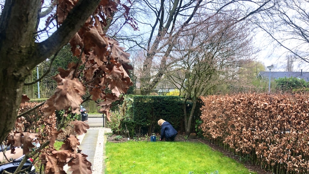 Voorjaarstip: aan de slag met onkruid verwijderen