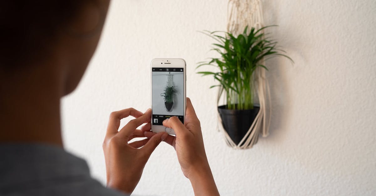 Deze 5 handige apps helpen je om planten te herkennen én verzorgen