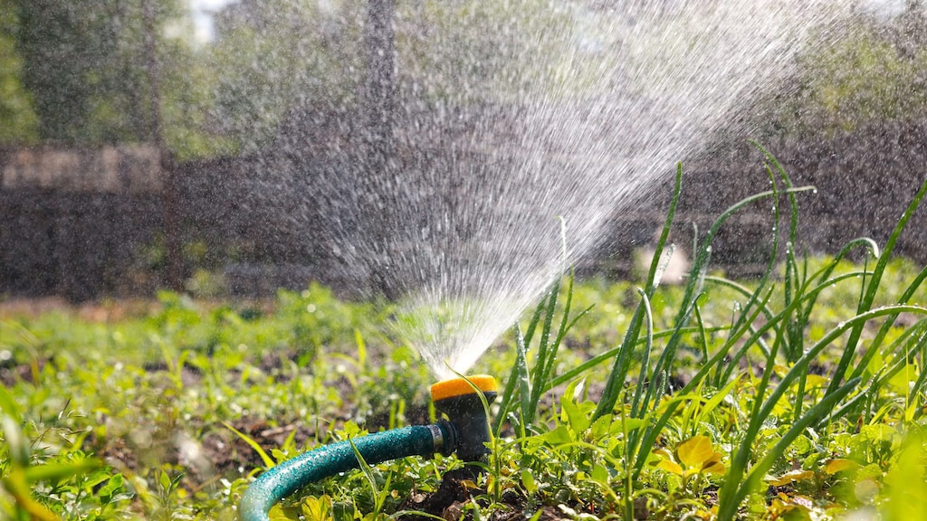 Meldplicht kleine waterput in Noord-Brabant: 'Strijd tegen droogte'