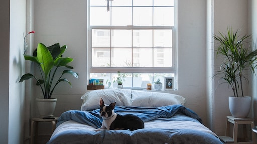 Waarom je eigenlijk altijd met je raam open zou moeten slapen