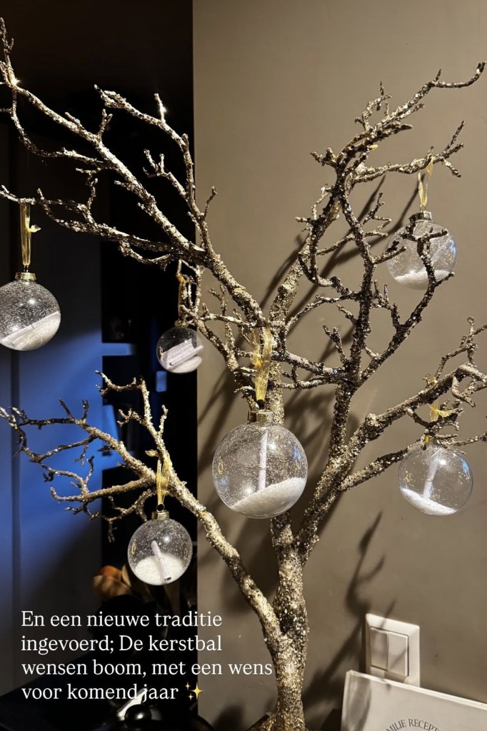 Instagram story Leontine Borsato